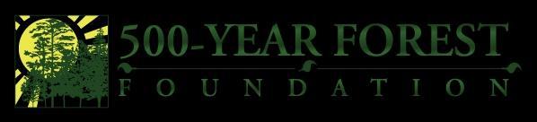 The 500 Year Forest Foundation background image