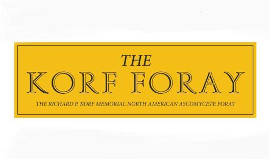 The Korf Foray background image