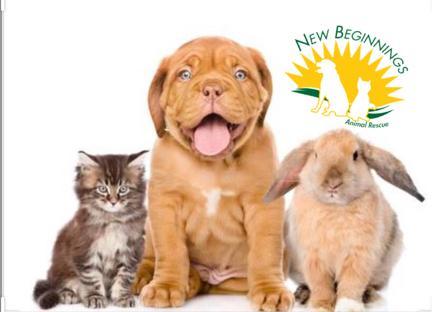 New Beginnings Animal Rescue background image