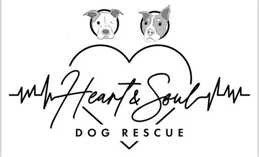 Heart and Soul Dog Rescue Inc background image