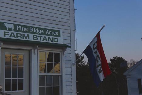 Pine Ridge Acres background image