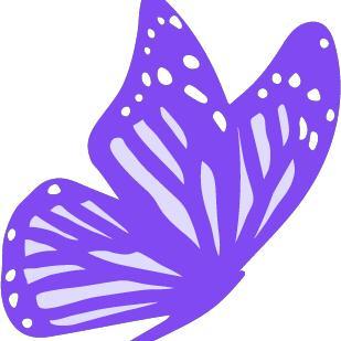 Bethany's Butterflies Foundation, Inc. background image