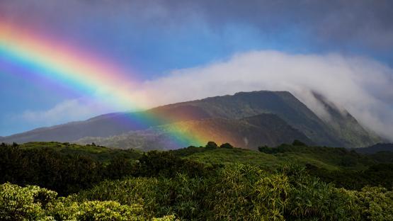 Hawaii Unites background image