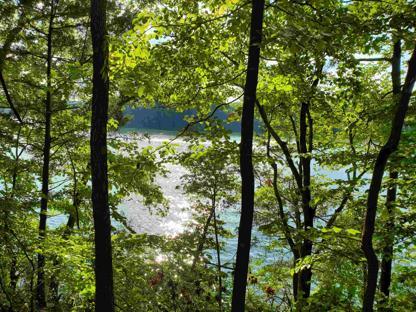 Camp Riva-Lake background image