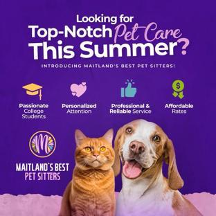 Maitland's Best Pet Sitters background image