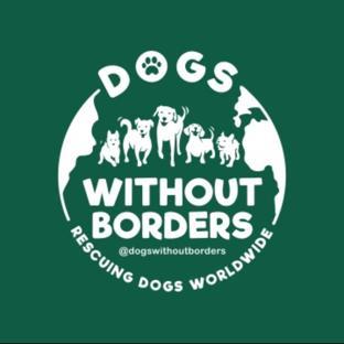 Dogs Without Borders background image