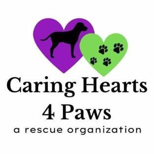 Caring Hearts 4 Paws background image