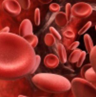 Utah Hemophilia Foundation background image