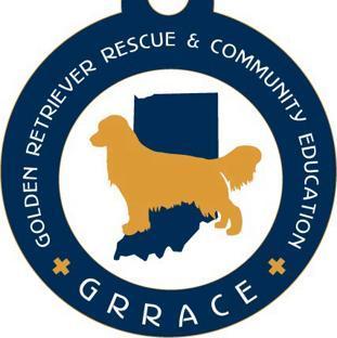 Golden Retriever Rescue & Community Education, Inc. background image