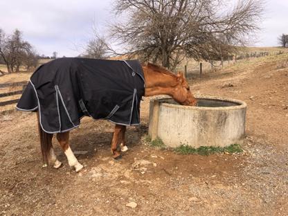 Military Equestrian Foundation background image