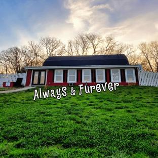 Always & Furever Midwest Animal Sanctuary, Inc. background image