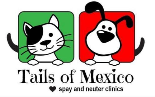 Tails of Mexico background image