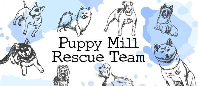 Puppy Mill Rescue Team background image