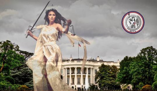 Women Fighting For America background image