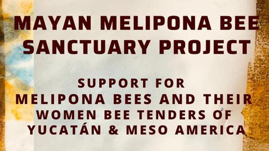 Mayan Melipona Bee Sanctuary background image