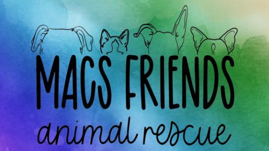 MACS Friends Animal Rescue Inc background image