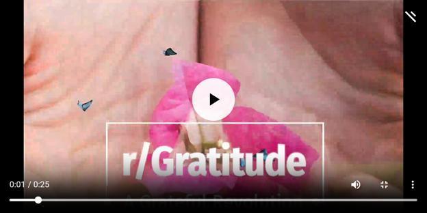 Gratitude Clinic background image