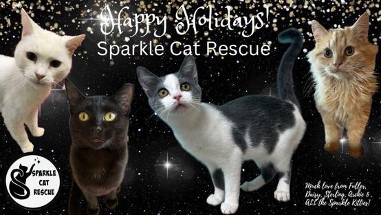 Sparkle Cat Rescue, Inc. background image
