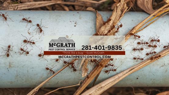 McGrath Pest Control background image