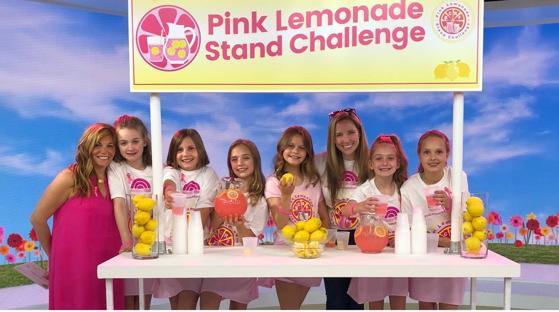Pink Lemonade Stand Challenge background image
