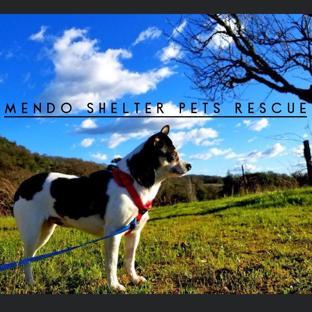 Mendo Shelter Pets Rescue background image