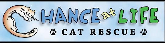 Chance at Life Cat Rescue background image