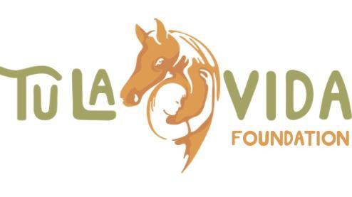 Tula Vida Foundation background image