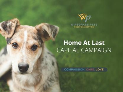 Wiregrass Pets Rescue and Adoption background image