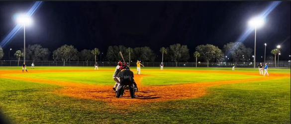 Manatee Baseball League background image