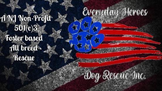 Everyday Heroes Dog Rescue Inc. background image