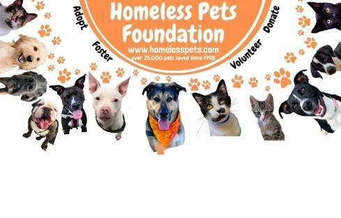 Homeless Pets Foundation background image