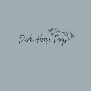Dark Horse Dogs, NFP background image