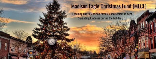 Madison Eagle Christmas Fund background image