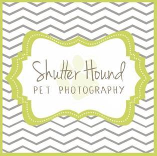 Shutter Hound Pet Photography background image