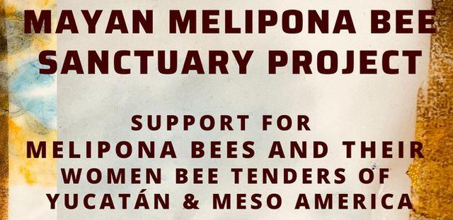 Mayan Melipona Bee Sanctuary background image