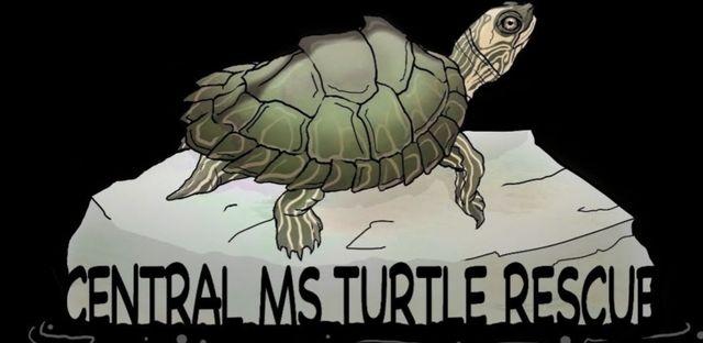 Central MS Turtle Rescue background image