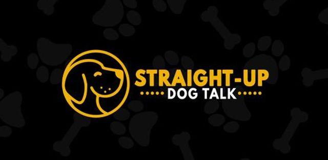 Straight Up Dog Talk background image
