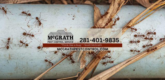 McGrath Pest Control background image