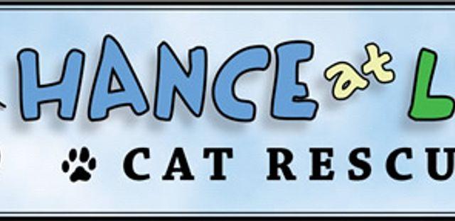 Chance at Life Cat Rescue background image