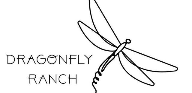 Dragonfly Ranch Education background image