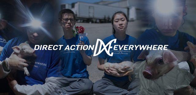 Direct Action Everywhere background image