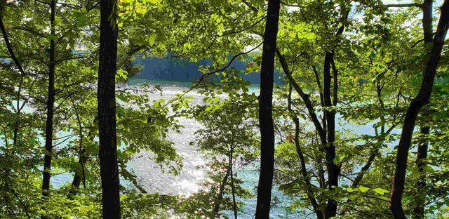 Camp Riva-Lake background image