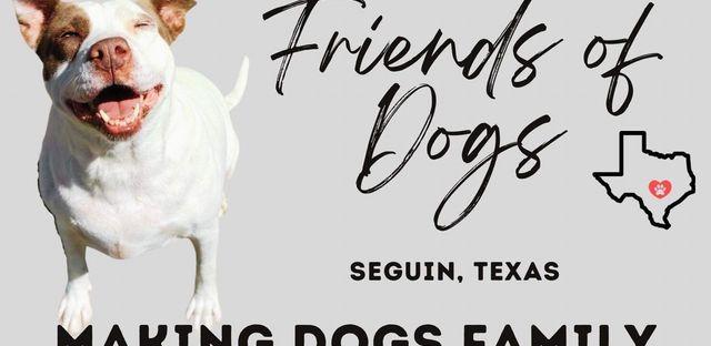 Friends of Dogs Corporation background image