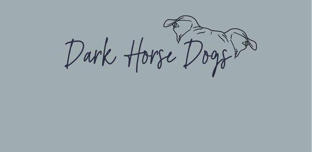 Dark Horse Dogs, NFP background image