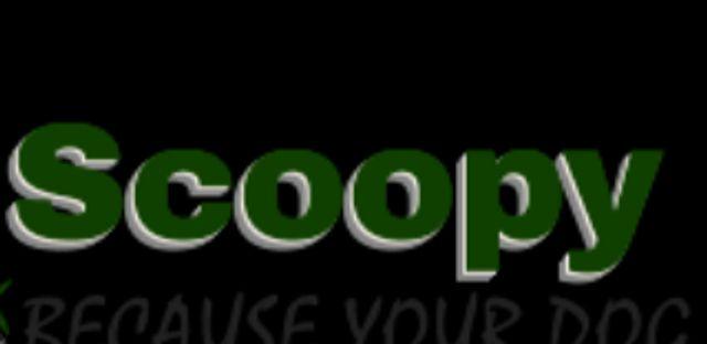 Scoopy Doo's DFW background image