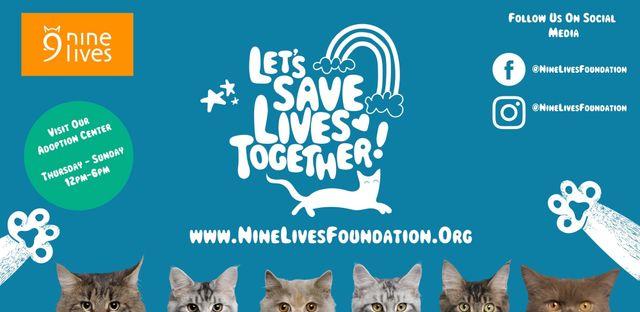 Nine Lives Foundation background image