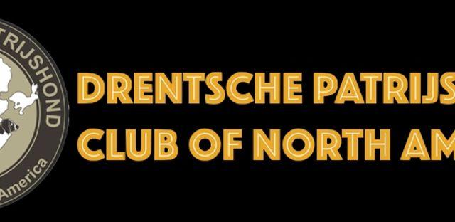 Drentsche Patrijshond Club of North America background image